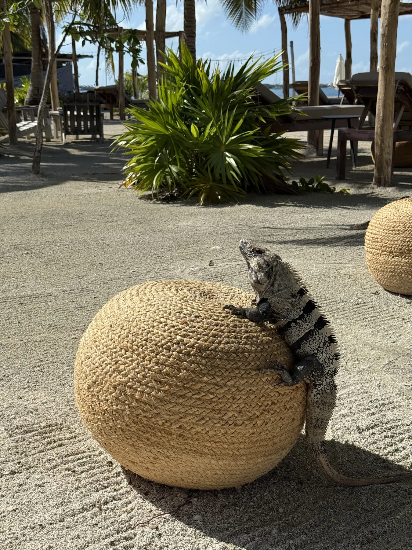 Beach setting and natural decor