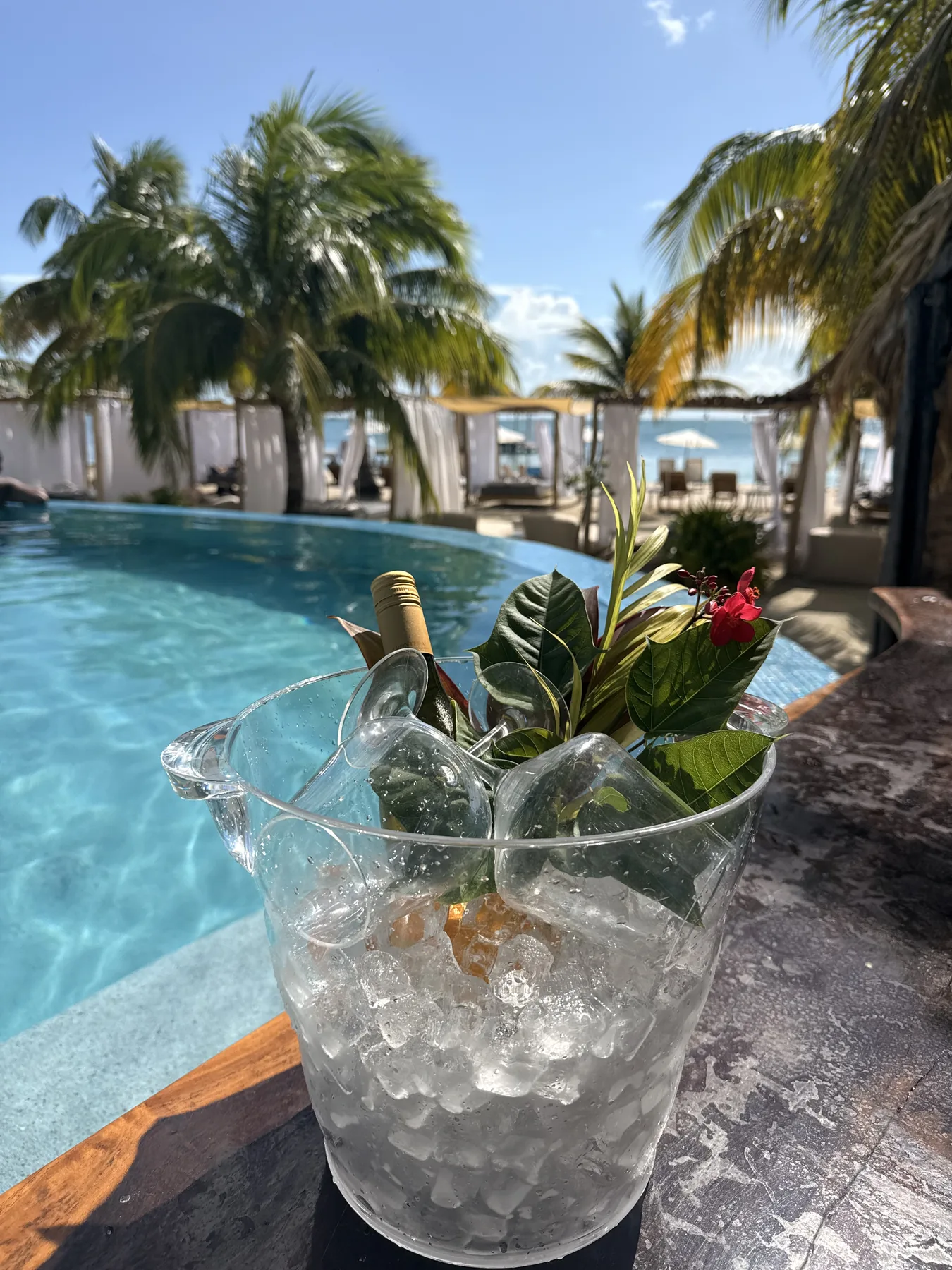 Cocktail by the pool